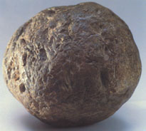 Brya bursztynu - tak zwana gowa, 655 g, z osadw lodowcowych. W zbiorach Muzeum Ziemi. fot. T. Konart