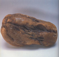 Brya bursztynu - tak zwany chlebek, 1200 g; z Batyku. W zbiorach Muzeum Ziemi. fot. T. Konart