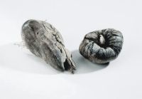 Fot. 4. Rafa Burczyski, Obiekty, skaa wapienna, srebro, glinka ceramiczna.