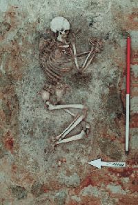 Widok układu szczątków kostnych i ozdób bursztynowych w trakcie eksploracji grobu.
