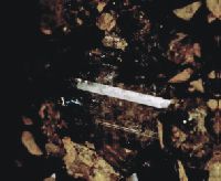 Fot. 2. Kryszta topazu w kawernie w skale kwarcowo-topazowej. Szerlowa Gra. Wielko krysztau 2,5 x 1,5 cm. Z kolekcji M. odziskiego